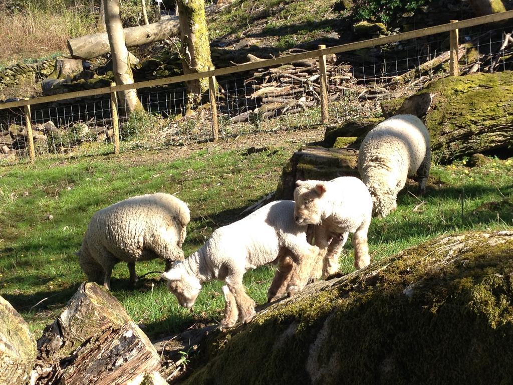 Thorney How Ambleside Zewnętrze zdjęcie