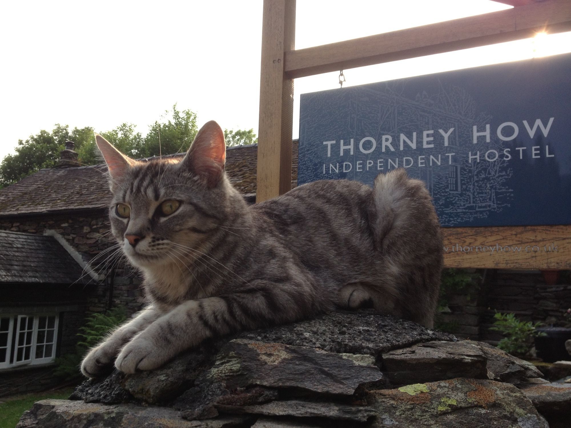Thorney How Ambleside Zewnętrze zdjęcie
