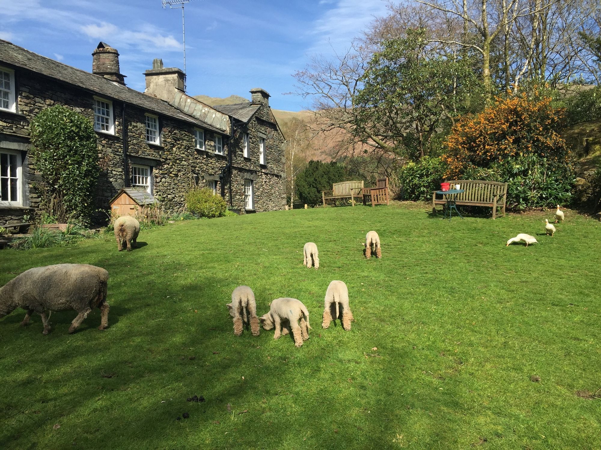 Thorney How Ambleside Zewnętrze zdjęcie